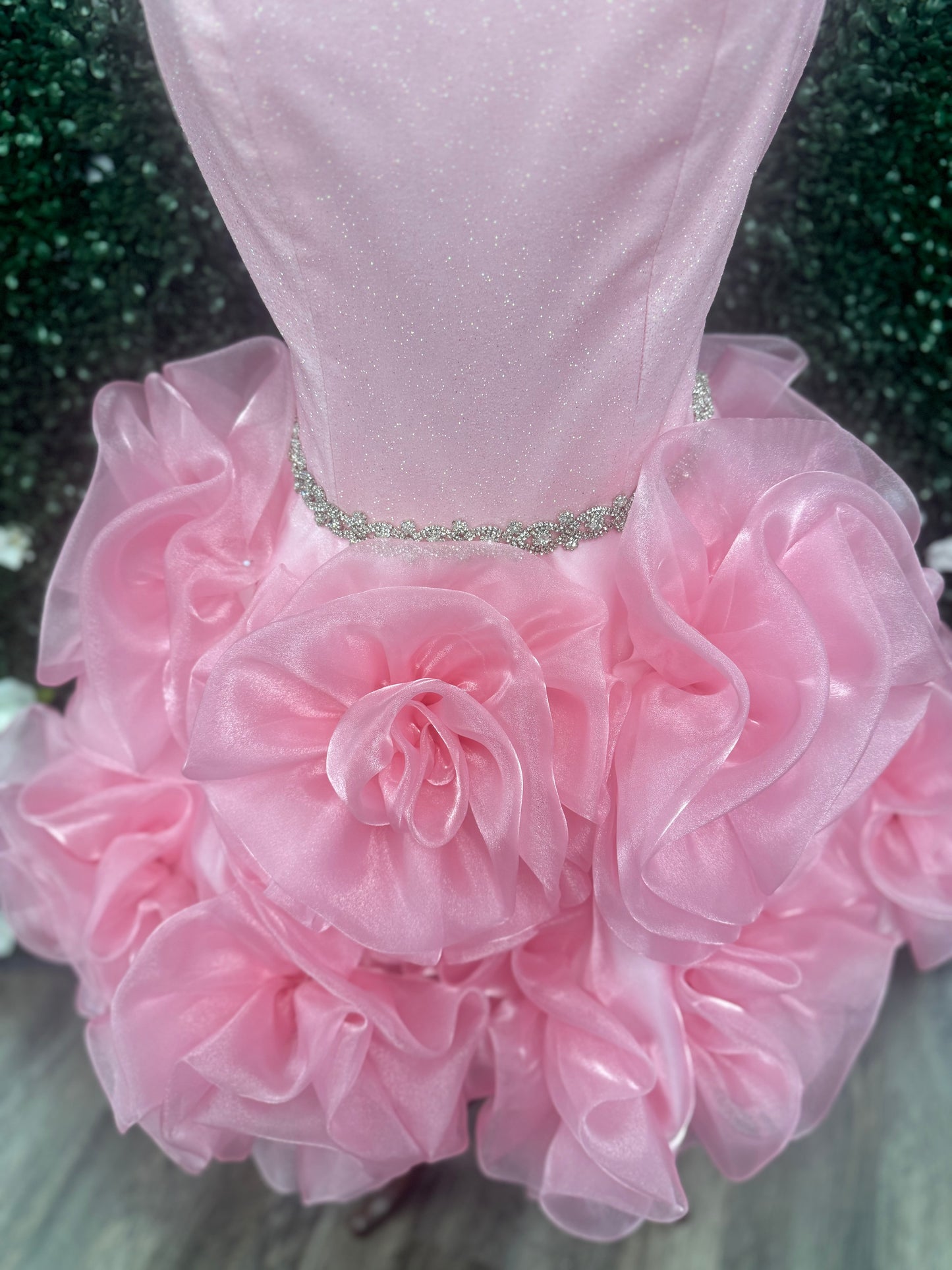 SONDRA CELLI CUSTOM DRESS
