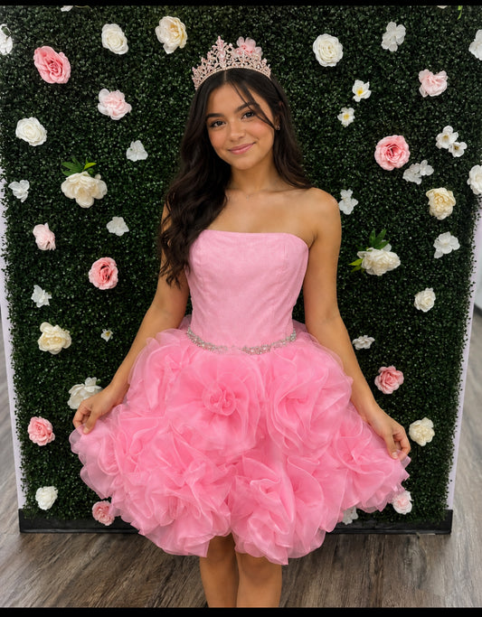 SONDRA CELLI CUSTOM DRESS